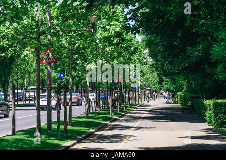 Bucarest, Romania - 24 Maggio 2017: Kiseleff strada è uno dei principali boulevard di Bucarest che corre come un proseguimento verso nord di Vittoria Street (Calea Vict Foto Stock