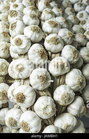 Aglio bianco capi nel mercato di alimentazione, verdure Foto Stock
