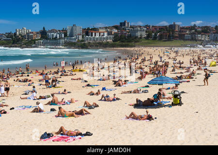 Un affollato Bondi Beach in un giorno d'estate. Sydney, NSW. Australia Foto Stock