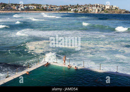 Bondi iceberg e la spiaggia di Bondi nei sobborghi orientali, Bondi, Sydney, Nuovo Galles del Sud, Australia. Foto Stock