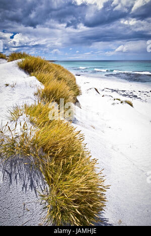 L'AUSTRALIA,Tasmania, Penisola di Freycinet,spiaggia sabbiosa,'friendly spiagge', Foto Stock