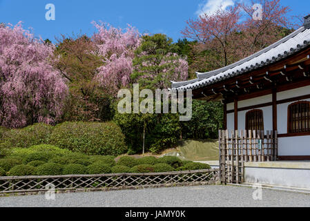 Architettura tradizionale e il giardino di palazzo Kuri nel tempio di Ryoanji Foto Stock
