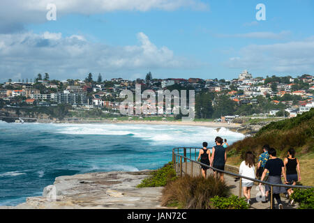 Bronte per Bondi passeggiata costiera, sobborghi Orientali, Sydney, Nuovo Galles del Sud, Australia. Foto Stock