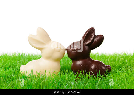 Due conigli di cioccolato su un prato fresco. Isolato su bianco. Foto Stock