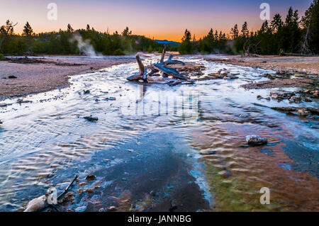 Norris Geyser Basin a destra dopo il tramonto Foto Stock