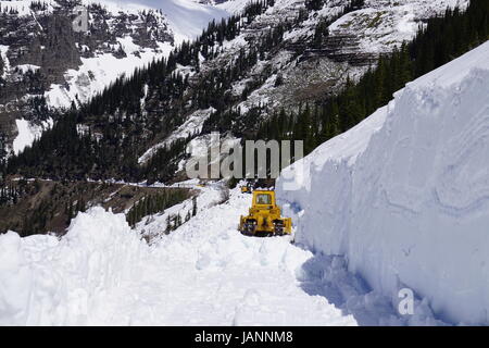 Vanghe da neve iniziano il processo di cancellazione di strade lungo i pendii sopra gli archi tripla in preparativi in corso nel Glacier National Park per iniziare l'apertura per la stagione di Maggio 26, 2017 in ghiacciaio Ovest, Montana. Foto Stock