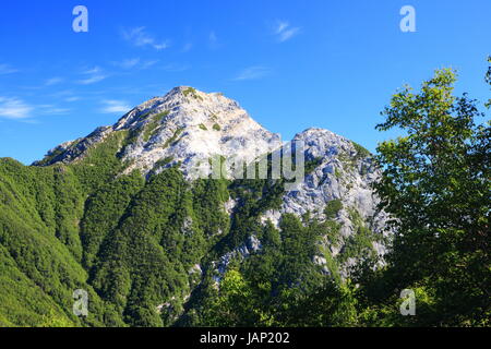 Giappone Alpi Mt. Kaikomagatake in estate, Yamanashi, Giappone Foto Stock