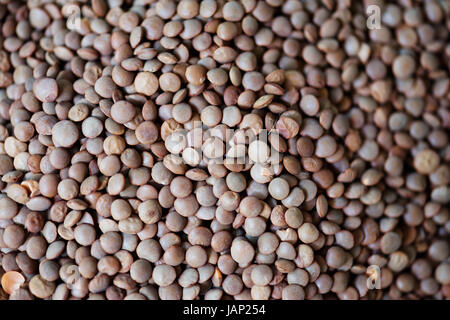 Primo piano di lenticchie seme fresco prodotto Foto Stock