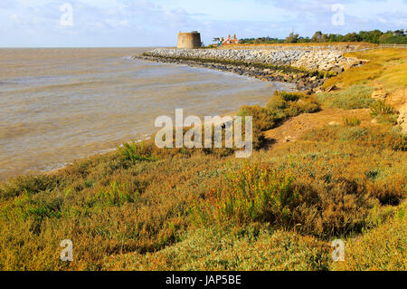 Martello Tower W difeso da roccia corazza da erosione costiera, East Lane, Bawdsey, Suffolk, Inghilterra, Regno Unito Foto Stock