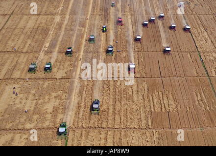 (170607) -- HANDAN, 7 giugno 2017 (Xinhua) -- raccoglitrici per raccogliere il grano nei campi di Cheng an County, a nord della Cina di nella provincia di Hebei, 7 giugno 2017. (Xinhua/Mu Yu) (wyo) Foto Stock