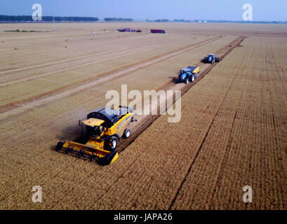 (170607) -- JUNXIAN, 7 giugno 2017 (Xinhua) -- raccoglitrici per raccogliere il grano nei campi della contea di Junxian, centrale cinese della Provincia di Henan, 7 giugno 2017. (Xinhua/Li Un) (wyo) Foto Stock