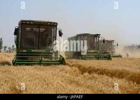 (170607) -- HANDAN, 7 giugno 2017 (Xinhua) -- raccoglitrici per raccogliere il grano nei campi di Cheng an County, a nord della Cina di nella provincia di Hebei, 7 giugno 2017. (Xinhua/Wu Chengjun) (wyo) Foto Stock