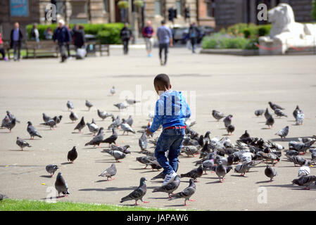 "Tittle black boy in George Square Glasgow Scozia a caccia di piccioni Foto Stock