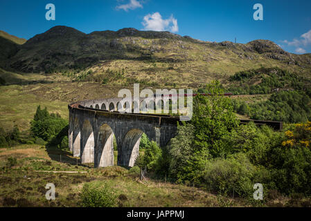 Viadotto Glenfinnan in estate e Hogwart Express che passa al di sopra. La Scozia. Foto Stock