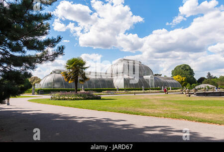 Palm House di Kew Royal Botanic Gardens, Londra, Inghilterra Foto Stock