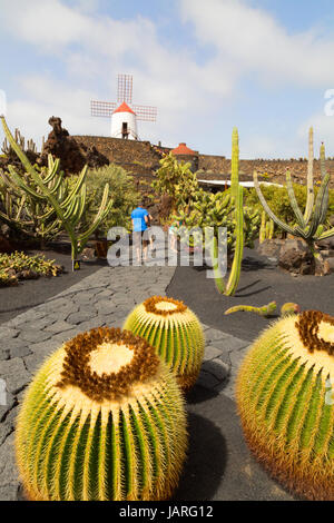 Lanzarote il Giardino dei Cactus o Jardin de Cactus, disegnato dall'artista locale Cesar Manrique, Lanzarote, Isole Canarie, Europa Foto Stock