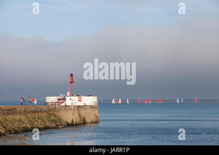 Una flottiglia di piccoli gommoni con Coloratissime vele sotto il mare di nebbia off il banjo pier a Looe, Cornwall Foto Stock