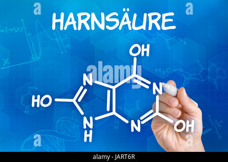 Mano zeichnet chemische Strukturformel von Harnsäure Foto Stock