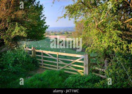 Vista sulla fattoria verso la bella campagna inglese, Cotswolds, Inghilterra. Foto Stock