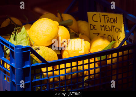 I limoni in vendita in un mercato di Menton, Francia Foto Stock