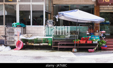 JIANGDI, Cina - 26 Marzo 2017: acquario con pesci vivi e di stallo con verdure fresche nella parte anteriore del cafè nel villaggio Jiangdi Longsheng in primavera calda Foto Stock