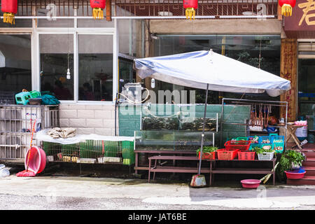 JIANGDI, Cina - 26 Marzo 2017: acquario con pesci vivi e stand con verdure fresche di fronte eatery in Jiangdi village a Longsheng Hot Spri Foto Stock