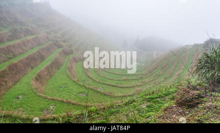 Viaggio in Cina - nebbia sul riso giardini terrazzati dal punto di vista Musica dal Paradiso in area di Dazhai Longsheng terrazze di riso (Dragon's Backbone terr Foto Stock