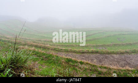 Viaggio in Cina - brume sul riso giardini terrazzati dal punto di vista Musica dal Paradiso in area di Dazhai Longsheng terrazze di riso (Dragon's Backbone ter Foto Stock