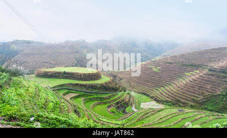 Viaggio in Cina - vista sopra di riso terrazzati giardini sulle colline dal villaggio Tiantouzhai nell'area Dazhai Longsheng terrazze di riso (Dragon's Backbone terr Foto Stock