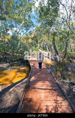 Ragazza di un cammino che attraversa un Wilpena Creek a Wilpena Pound Flinders Ranges Australia del Sud Foto Stock