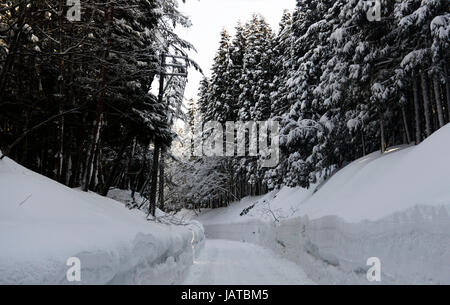 Bellissimi paesaggi invernali nella prefettura di Aomori, Giappone. Foto Stock