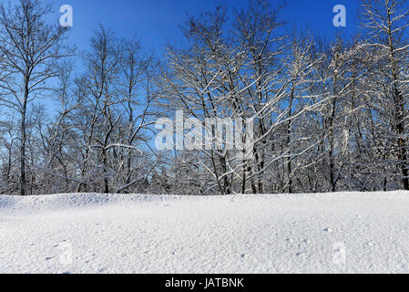 Bellissimi paesaggi invernali nella prefettura di Aomori, Giappone. Foto Stock