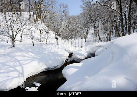 Bellissimi paesaggi invernali nella prefettura di Aomori, Giappone. Foto Stock