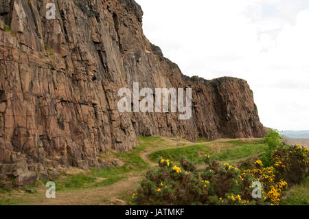 Arthur' Seat è il picco principale del gruppo di colline che formano la maggior parte di Holyrood Park. È situato nel centro della città di Edimburgo, a circa un miglio a est del Castello di Edimburgo. La collina si erge sopra la città ad un'altezza di 250,5 m (822 ft), offre eccellenti vedute panoramiche della città, è relativamente facile da scalare, ed è popolare per il trekking. Foto Stock