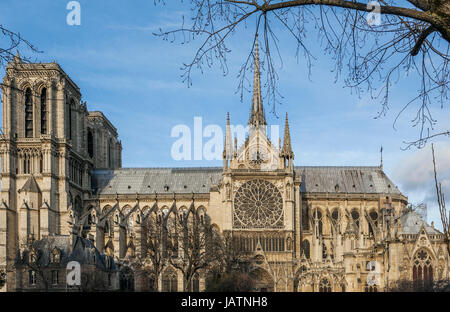 Cattedrale di Notre Dame dalla Senna, Ile de la Cite, Parigi, Francia, Europa Foto Stock