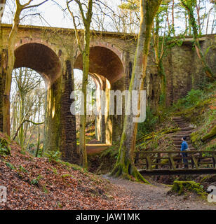 Sole che splende attraverso il ponte a Groudle Glen con un uomo guarda il paesaggio Foto Stock