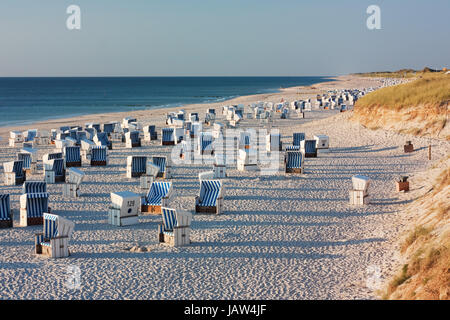 Strand mit Strandkörben bei Kampen auf Sylt an der Nordsee im Abendlicht. Spiaggia con strandkorbs (beach basket sedie) vicino a Kampen a Sylt al Mare del Nord, Schleswig-Holstein, Germania. Foto Stock