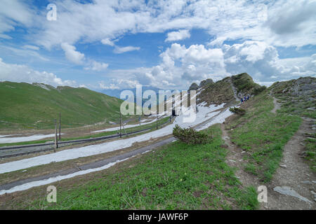 Rochers de Naye nelle alpi svizzere Foto Stock