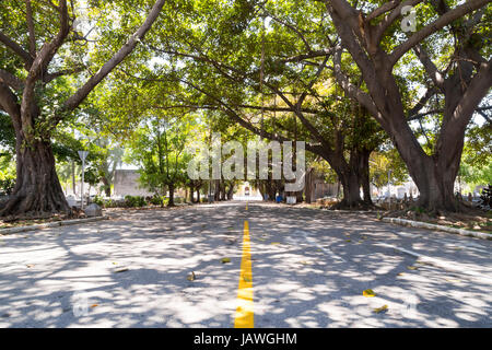 Strada principale all'interno di Cristoforo Colombo nel cimitero di Havana, Cuba Foto Stock