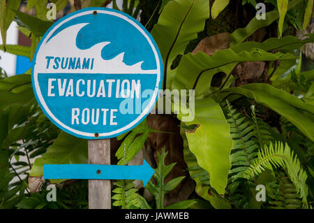 Tsunami i percorsi di evacuazione sign in Thailandia Foto Stock