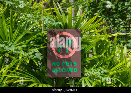 Animali domestici non ammessi sign in Thailandia Foto Stock