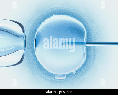 Concetto di fecondazione artificiale in vitro. Foto Stock