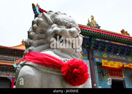 Leone cinese scultura in pietra nel tempio Cinese a Nonthaburi, Tailandia. Foto Stock