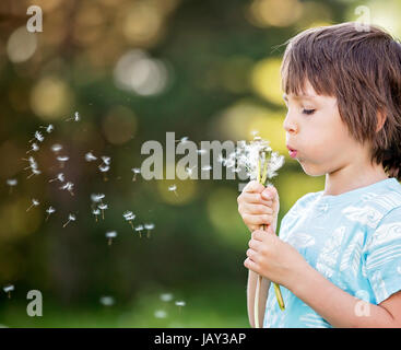 Il bambino si diverte, soffiando il tarassaco. Infanzia felicità concetto, ragazzo giocando con il tarassaco Foto Stock