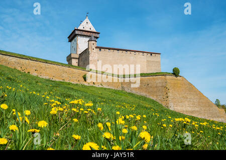 Hermann il castello di Narva fortezza. Estonia, paesi baltici, Europa Foto Stock