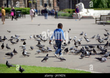 "Tittle black boy in George Square Glasgow Scozia a caccia di piccioni Foto Stock