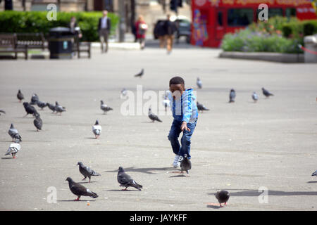 "Tittle black boy in George Square Glasgow Scozia a caccia di piccioni Foto Stock