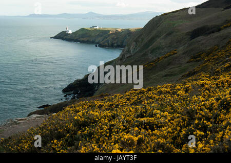 Howth è un sobborgo di Dublino, Irlanda. Si trova su una penisola con lo stesso nome a nord della baia di Dublino. Originariamente solo un piccolo villaggio di pescatori di Howth con i suoi dintorni di distretto rurale è ora occupato un sobborgo di Dublino, con un mix di denso sviluppo residenziale e wild hillside, tutti sulla penisola di Howth Head. Attraverso gli anni, Howth è stata una location del film per film come l'ultimo dei Re e ragazzo mangia la ragazza. Foto Stock