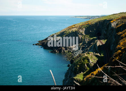 Il Cliff Walk è un cammino lineare tra Bray e Greystones, seguendo la linea ferroviaria lungo le scogliere di Bray testa. Questo ben tenuto a piedi offrono incredibili e vedute suggestive lungo scogliere a picco nel mare d'Irlanda. Prendete uno dei numerosi treni per tornare al punto di partenza . Foto Stock