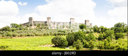 Monteriggioni, Regione Toscana, Italia. Vigneto di fronte le antiche mura medievali Foto Stock